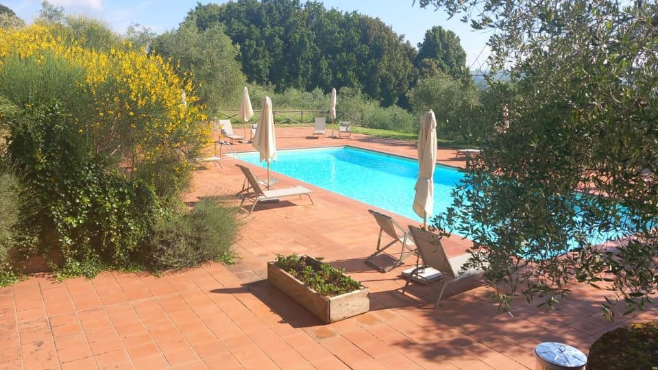 Day, Natural landscape, Swimming pool, sunbed