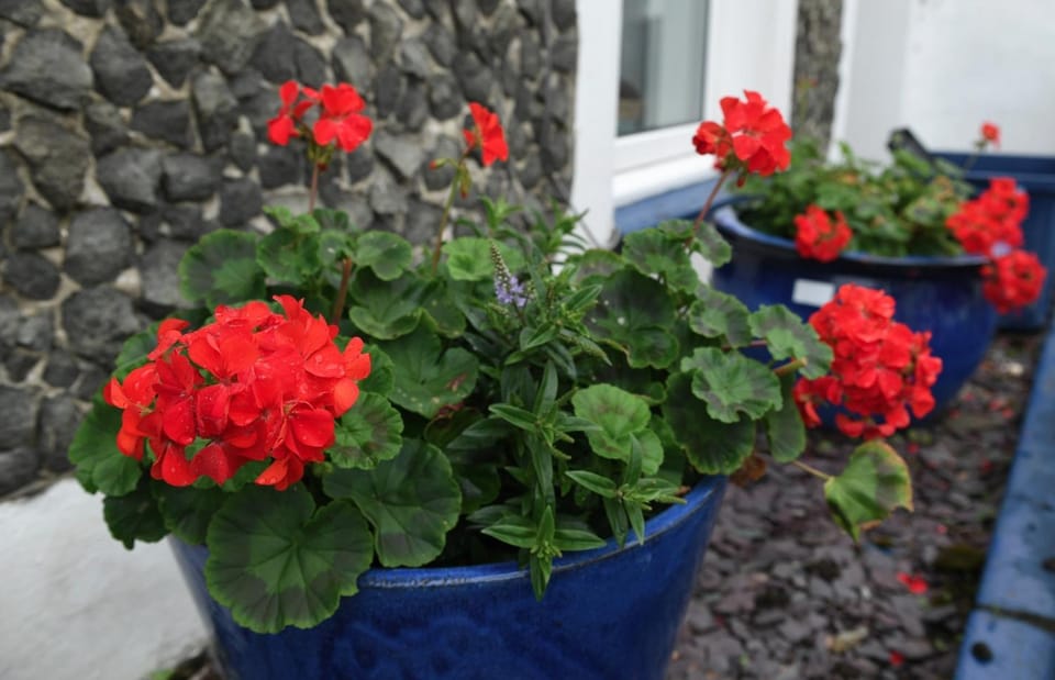 7 Mersey Street, Borth-y-Gest House in Wales