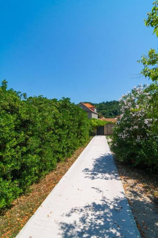 Neighbourhood, View (from property/room)