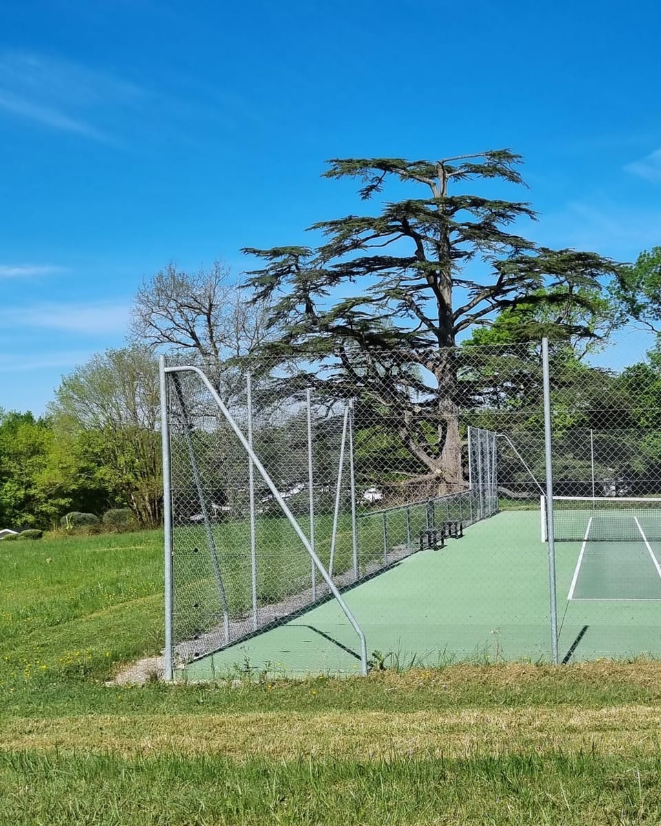Tennis court