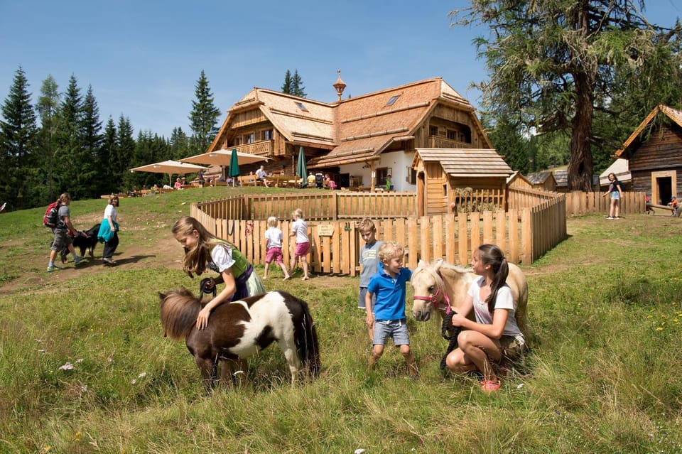 Activities, Summer, Children play ground, Animals, Animals, Mountain view, Family
