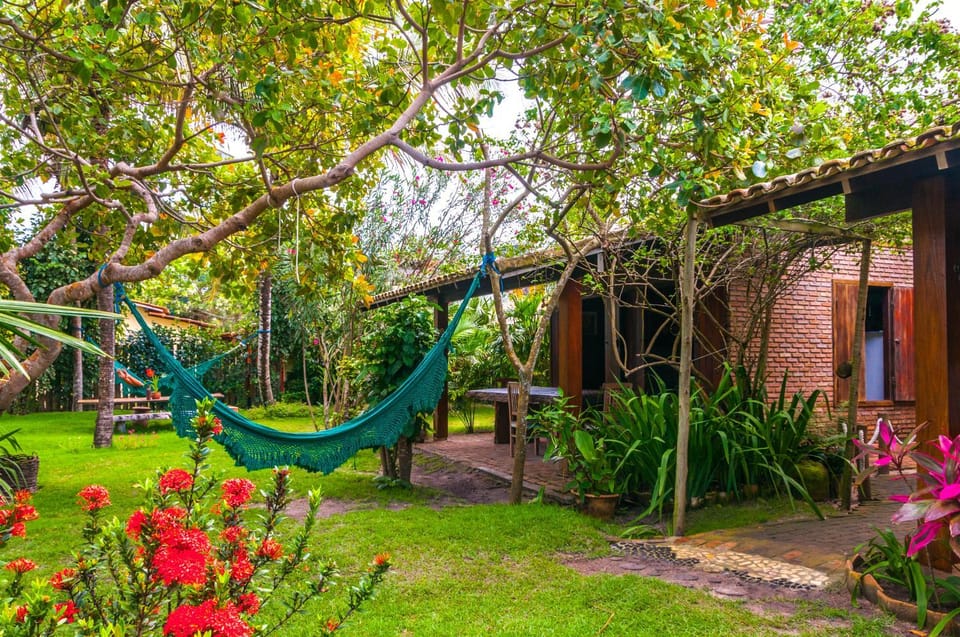 Property building, Day, Garden