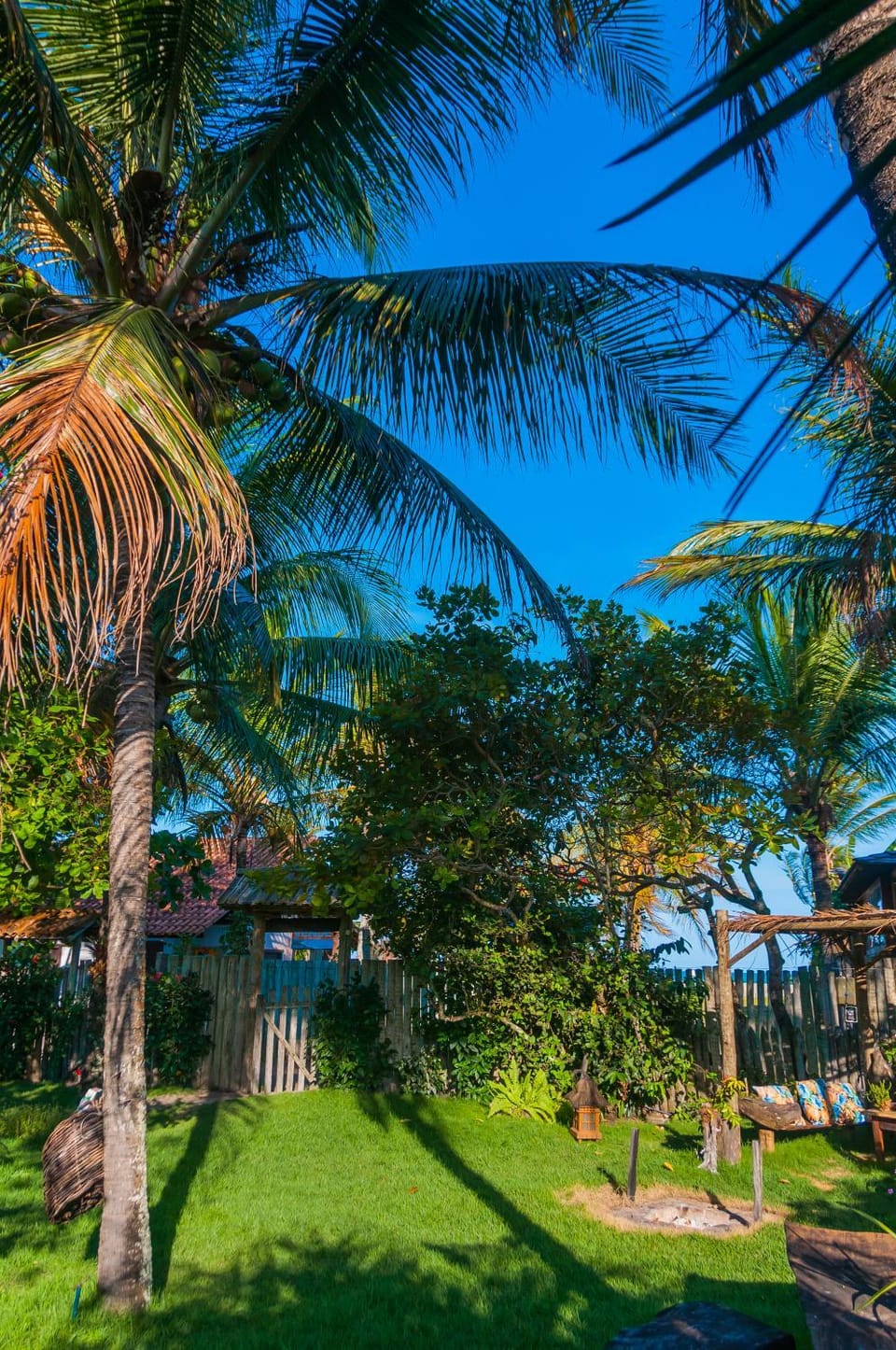 Garden view
