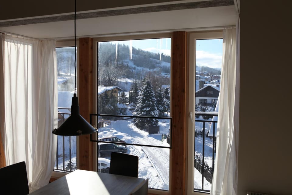 Winter, Mountain view