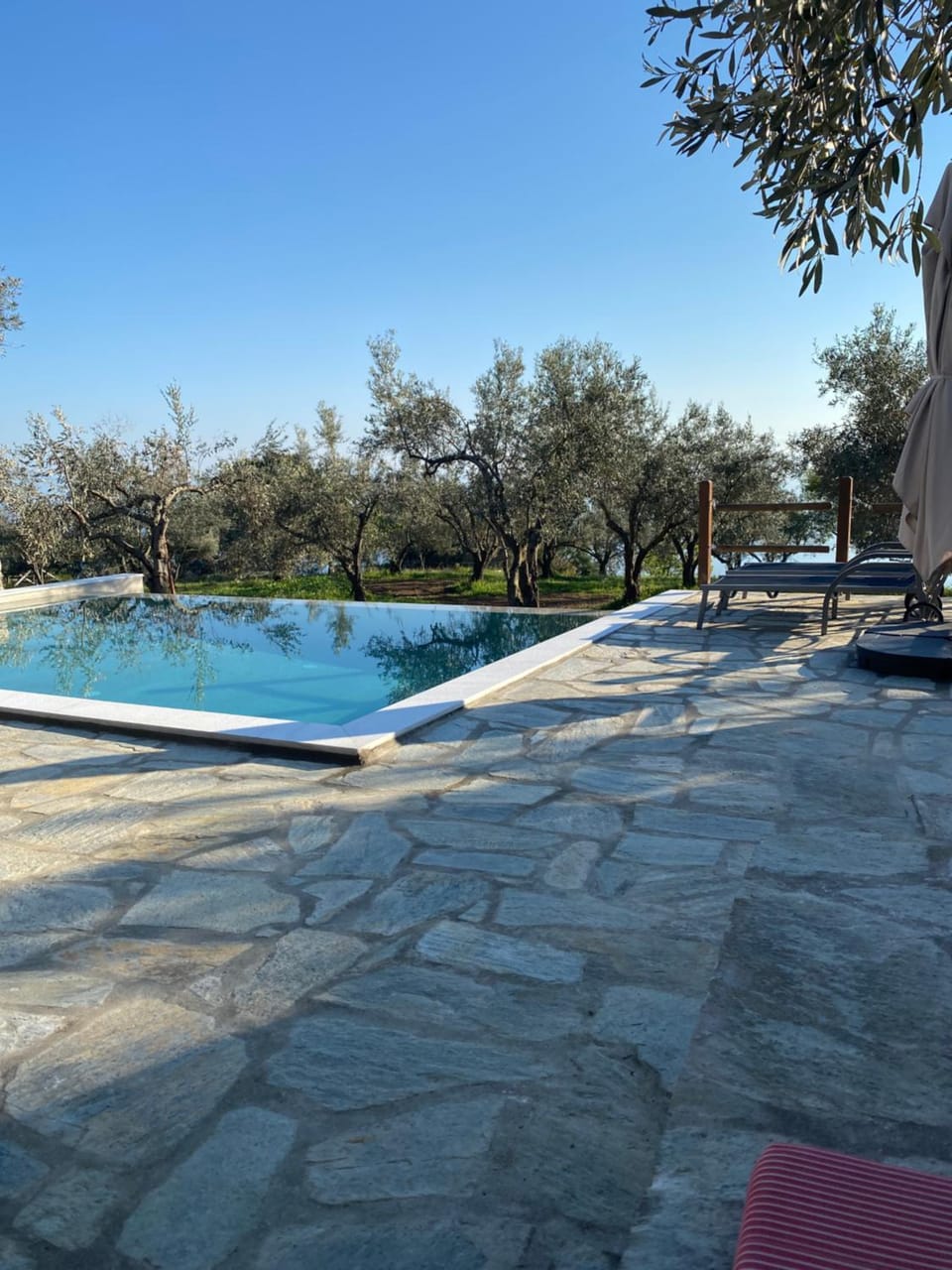 Pool view