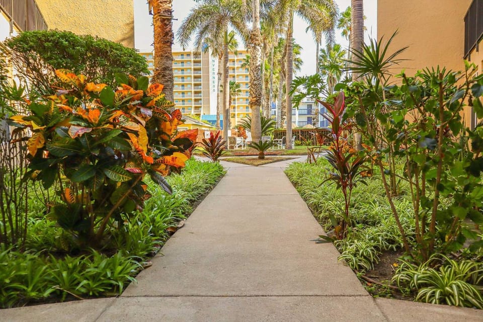 Surfside I 206 Condominium Condo Apartment in South Padre Island