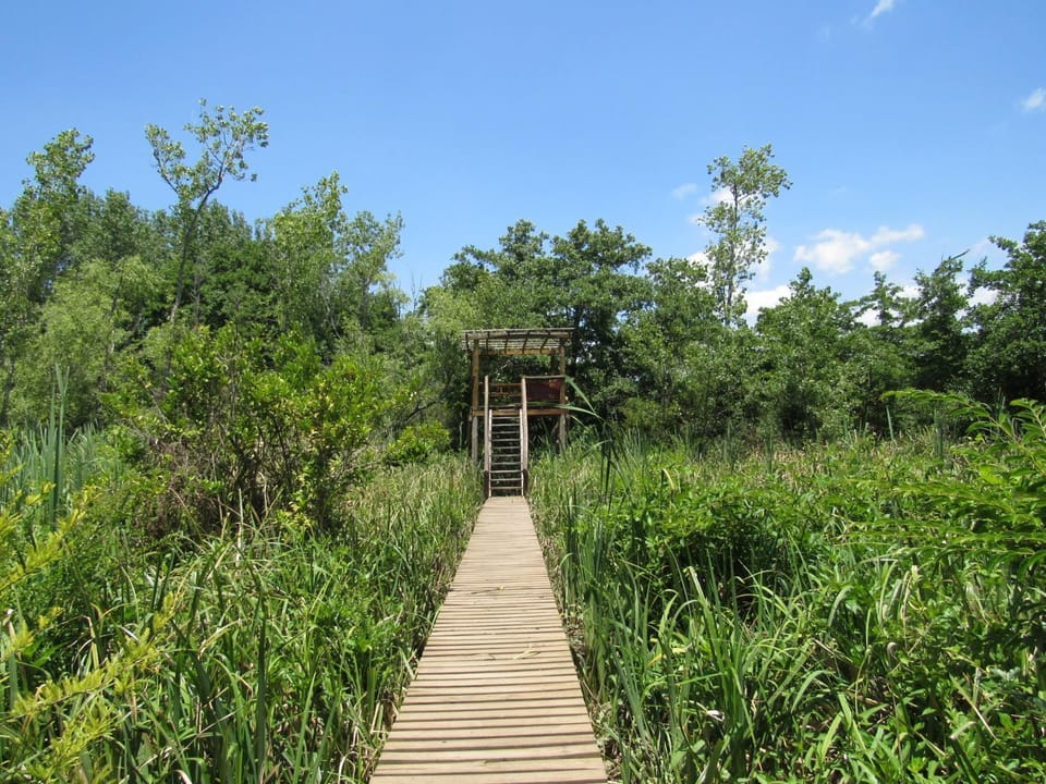 Cabaña en el Delta Arroyo Pajarito a 20 minutos de navegación Nature lodge in Buenos Aires Province