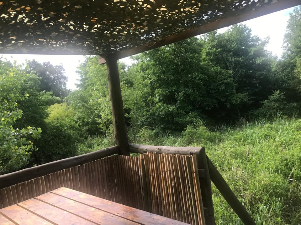 Cabaña en el Delta Arroyo Pajarito a 20 minutos de navegación Nature lodge in Buenos Aires Province