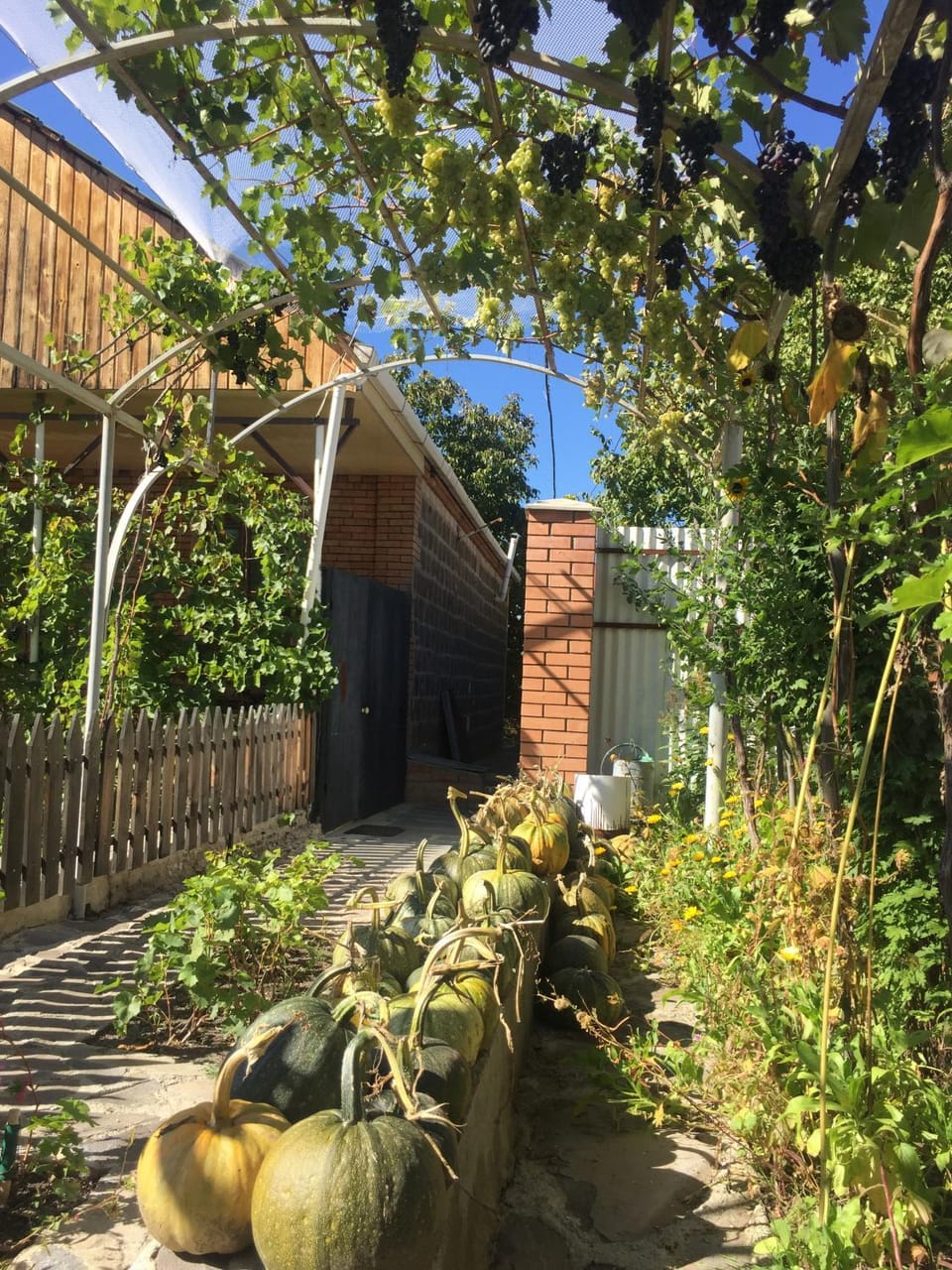 Facade/entrance, Garden, Autumn, On site