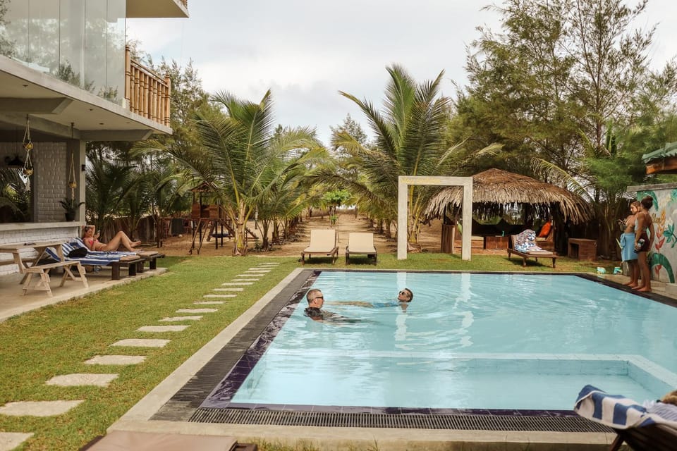 Garden, Swimming pool, group of guests, sunbed