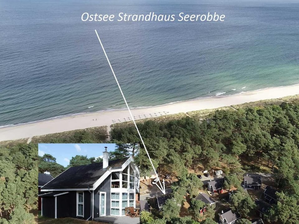 Bird's eye view, Other