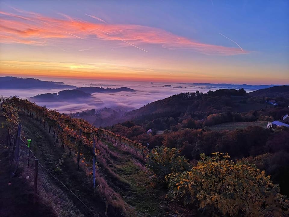 Natural landscape, View (from property/room), Autumn, Garden view, Mountain view, Sunrise