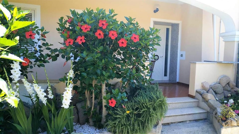 Facade/entrance, Garden view