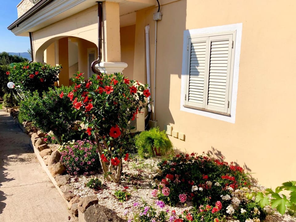 Facade/entrance, Garden