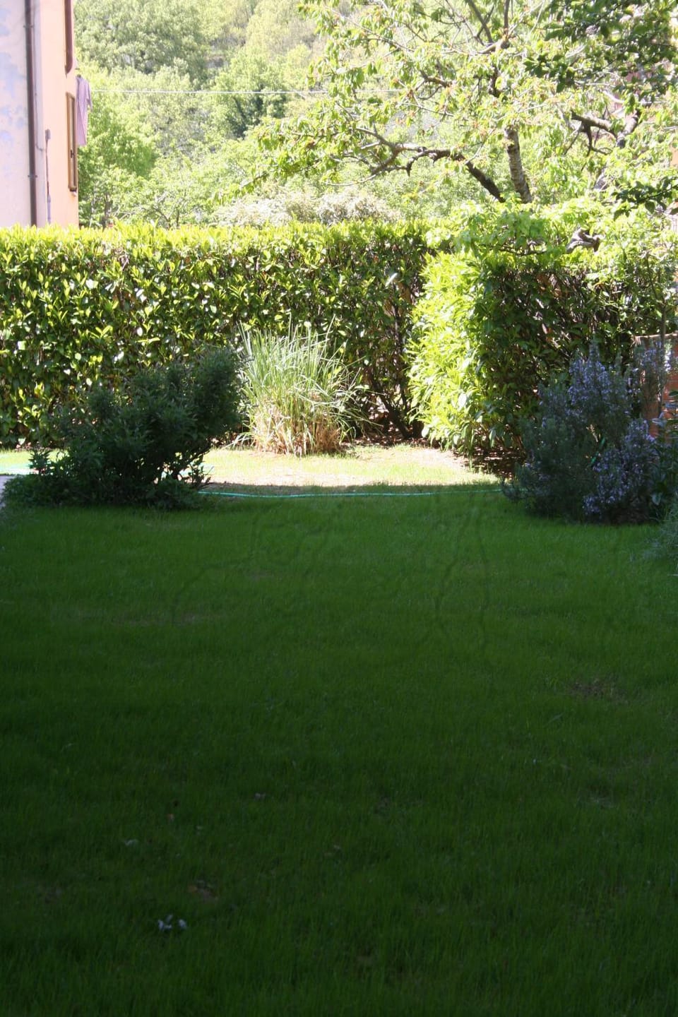Spring, Garden, Garden view