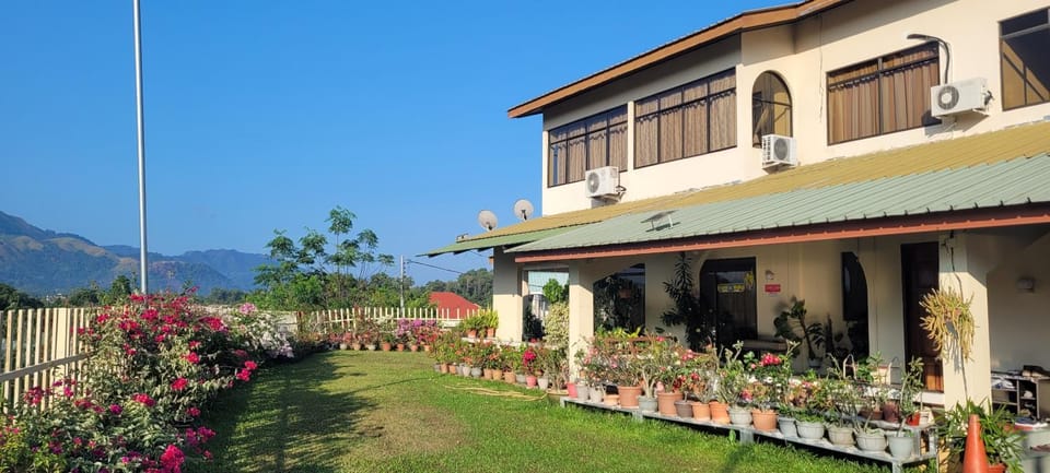 Property building, Natural landscape, Garden, Mountain view