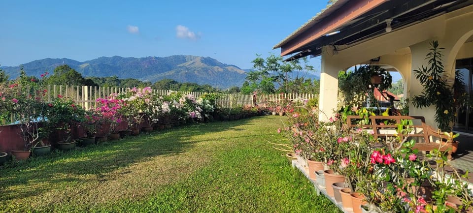 Property building, Natural landscape, Garden, Mountain view