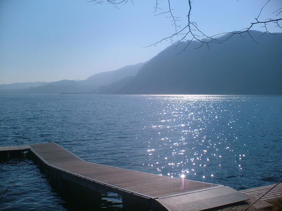 Lake view