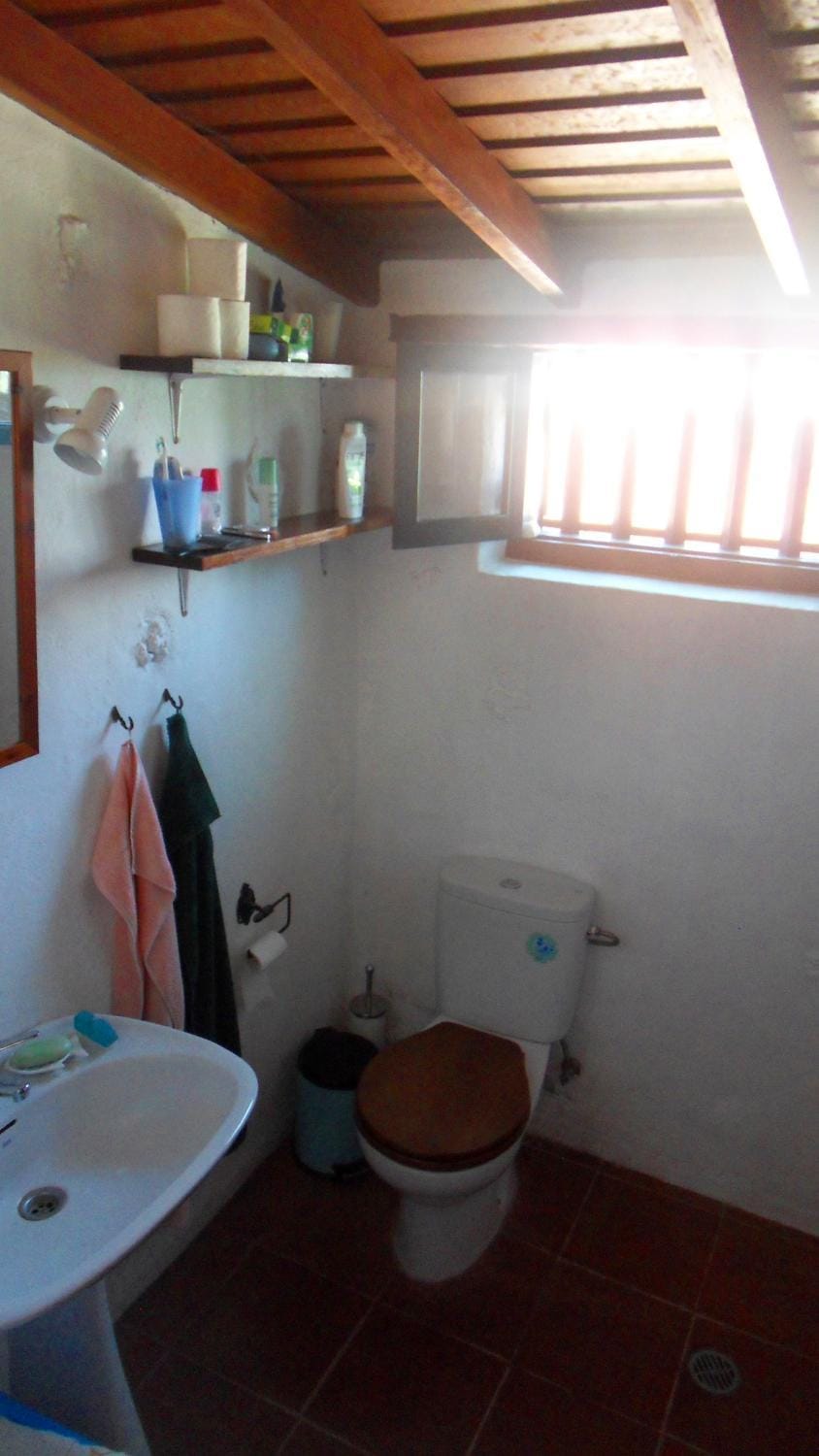 Shower, Toilet, Bathroom, Photo of the whole room