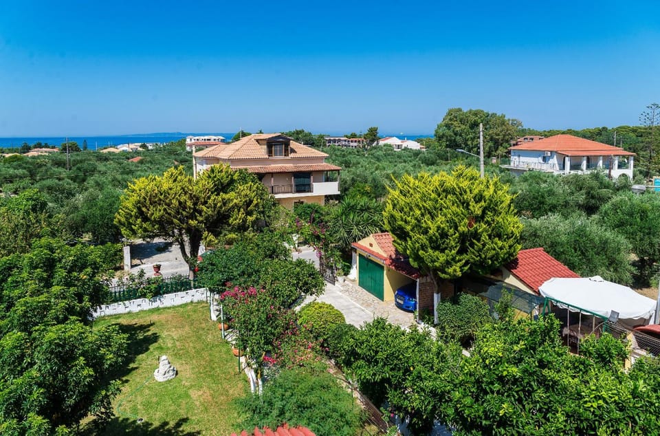 Bird's eye view, Garden