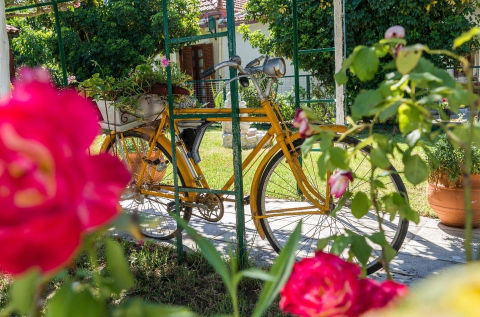 Activities, Garden, Garden, Balcony/Terrace