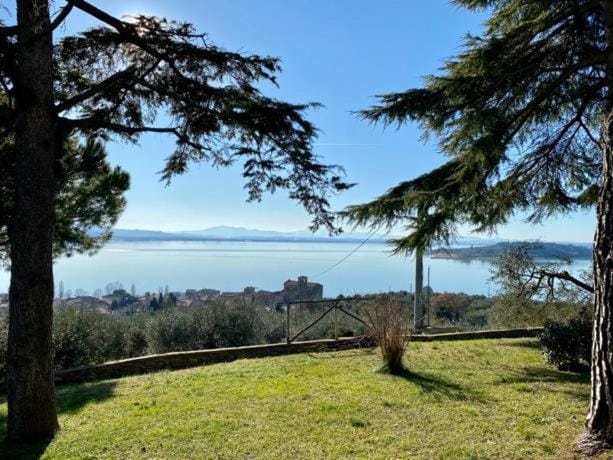 Nearby landmark, Spring, Day, Natural landscape, Garden, Garden view, Lake view