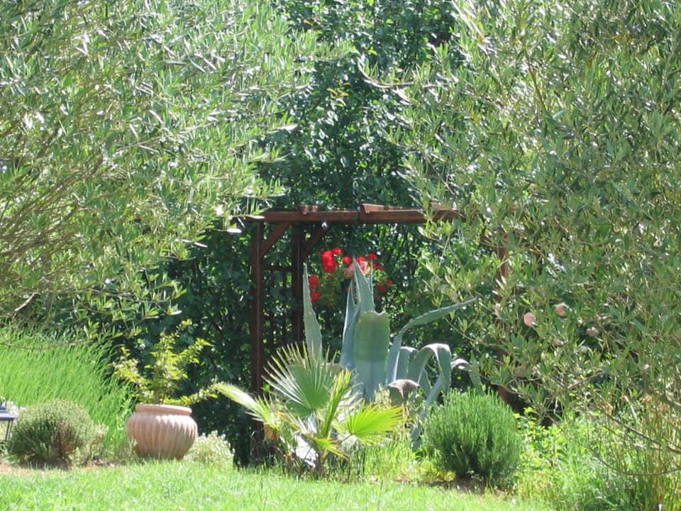 La Maison Jaune Bed and Breakfast in Occitanie
