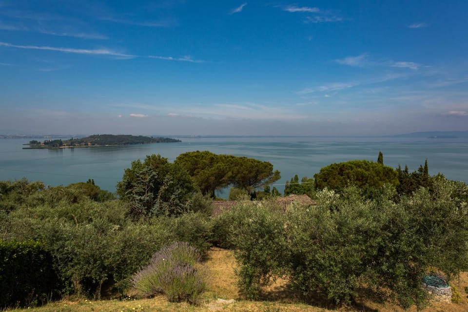 Lake view