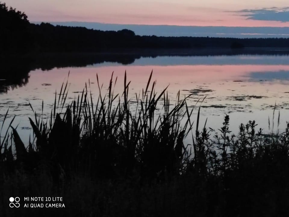 Natural landscape