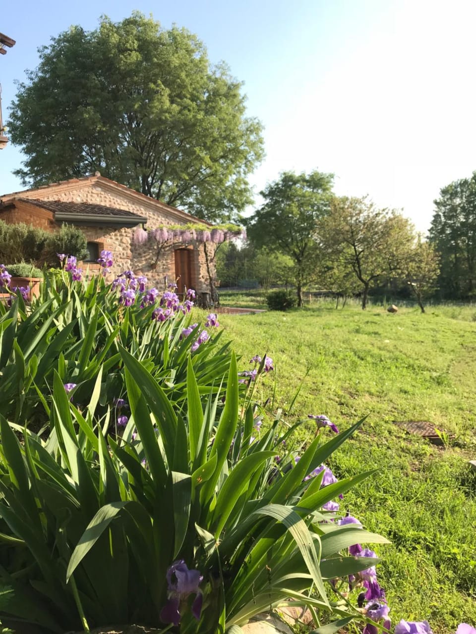 Garden view