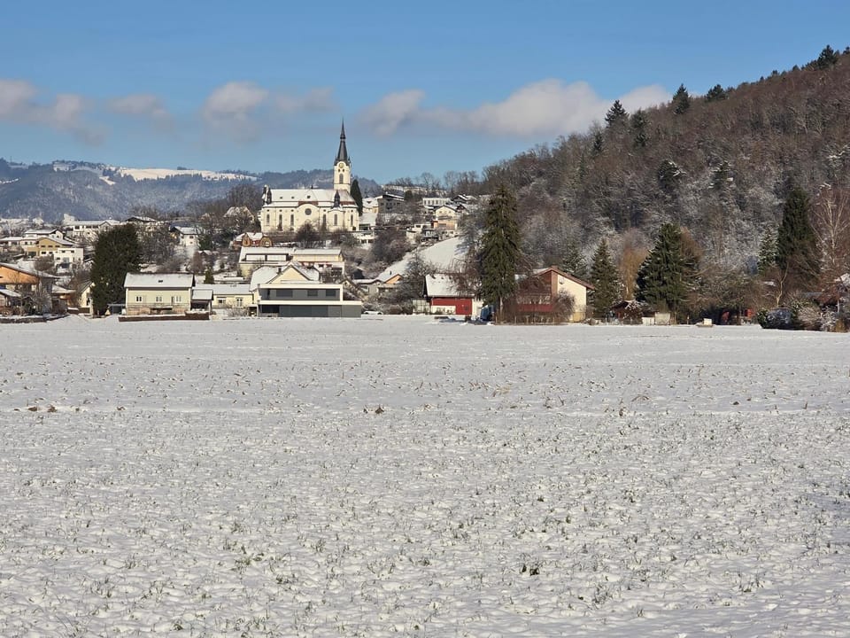 Coraline -Koblach, 6-10 P, 3 Schlafzimmer, Küche, riesige Terrasse, Parkplatz, WiFi, Stellplatz Ski Apartment in Appenzell Innerrhoden, Switzerland
