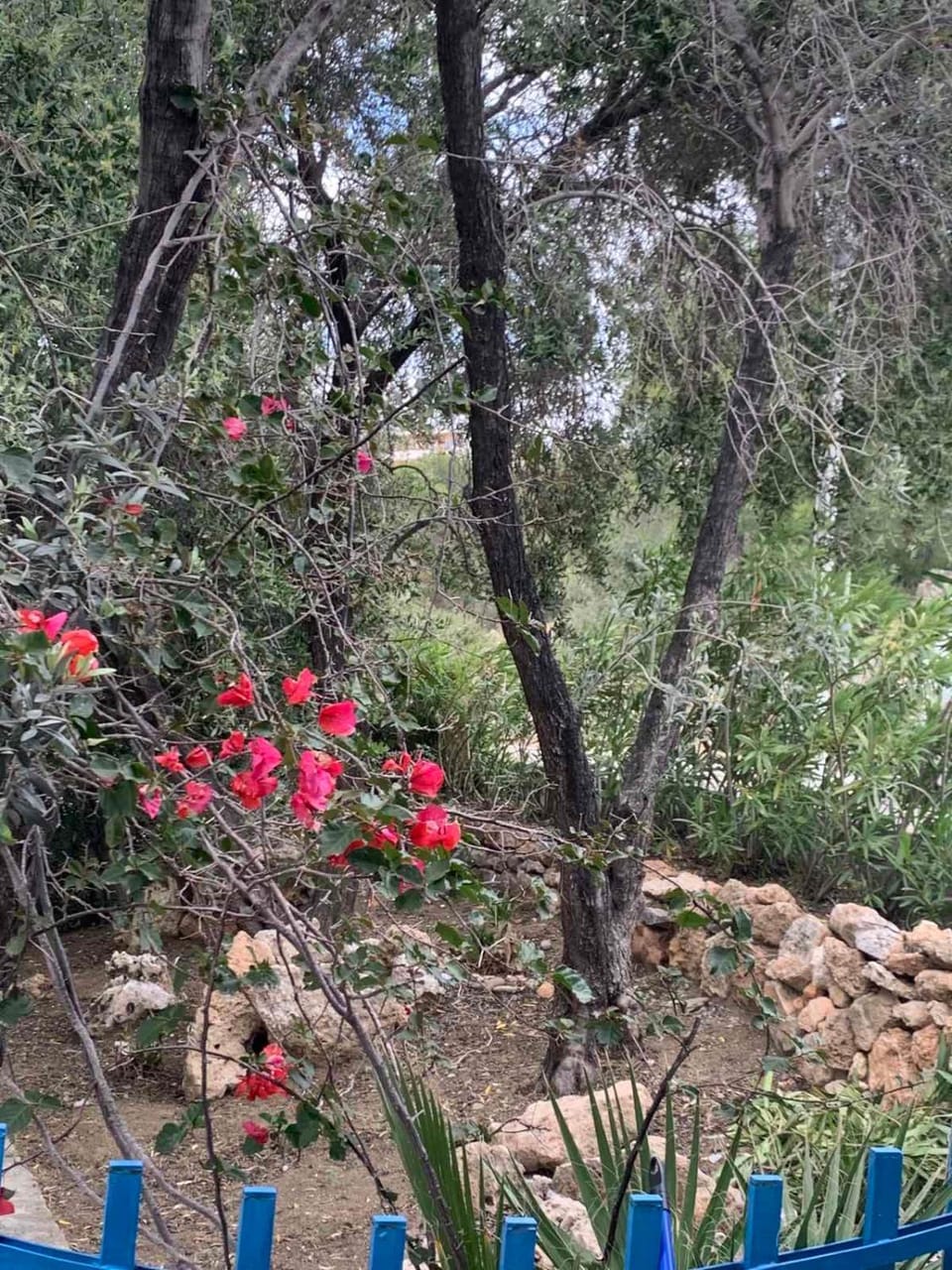 Villa Bellina House in Decentralized Administration of the Aegean