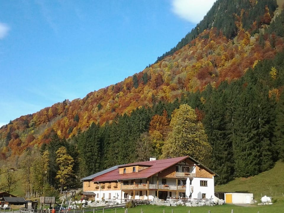 Autumn