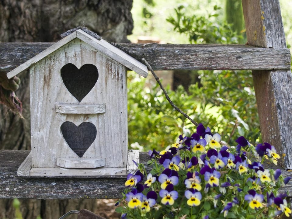 Garden, Decorative detail