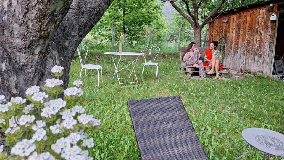 Spring, Day, Garden, Garden view