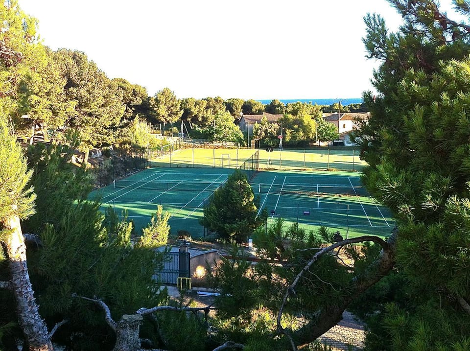 Tennis court