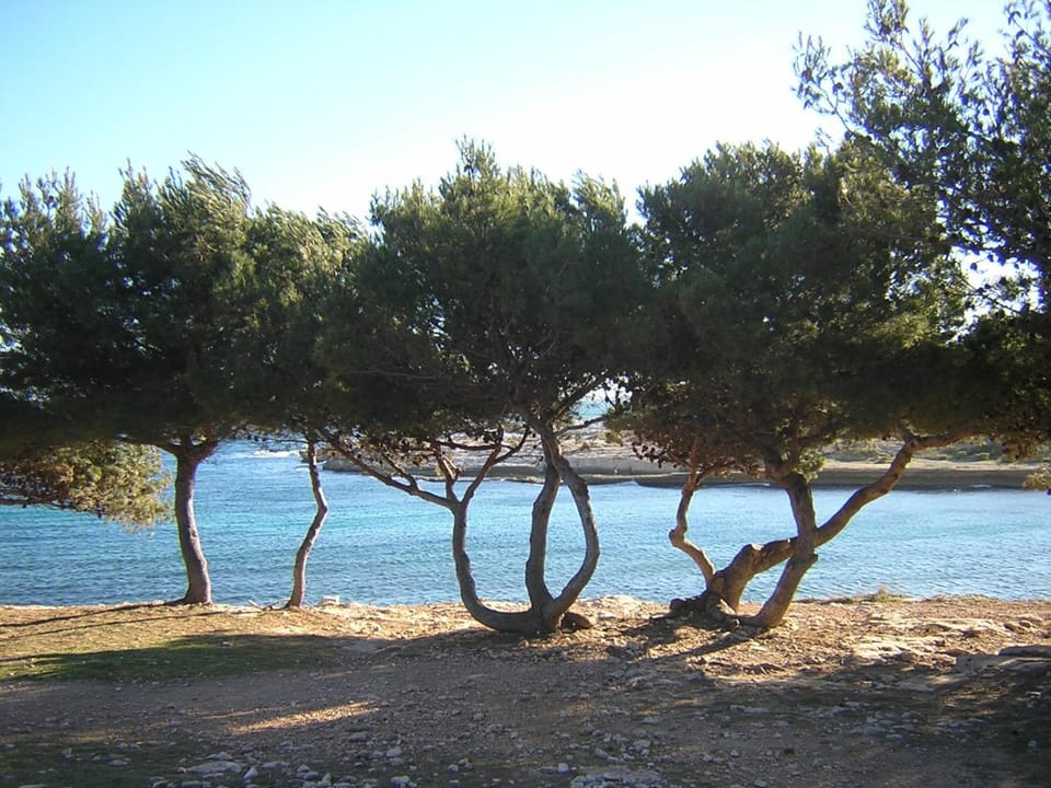 Natural landscape