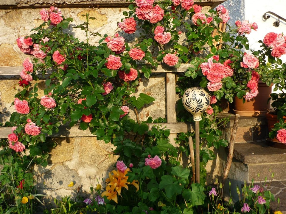 Menkenhof Bed and Breakfast in Salzburgerland