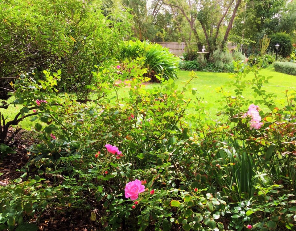 Bindley House B&B Cottage Bed and Breakfast in Victoria