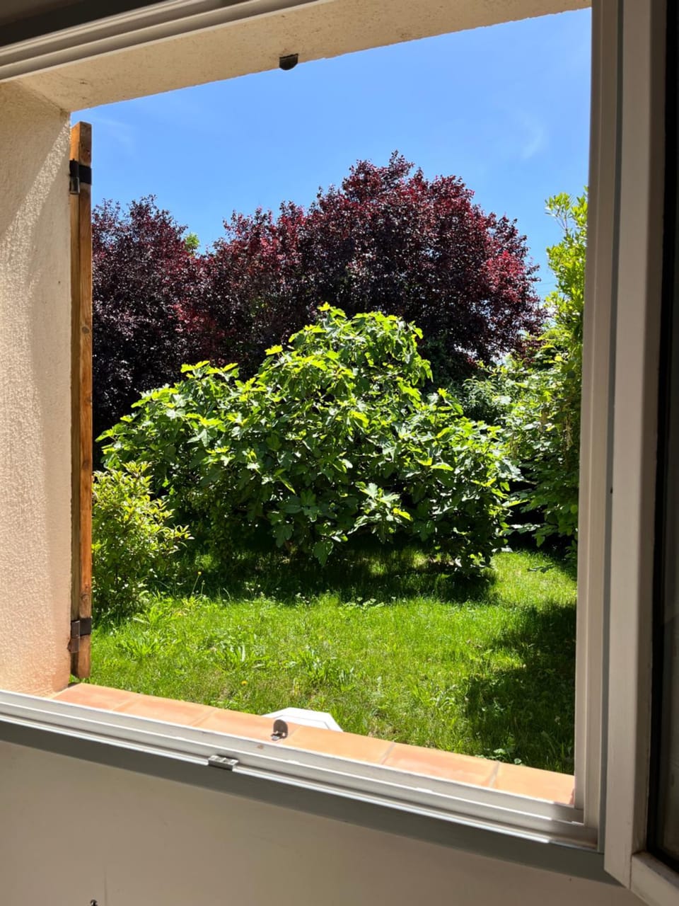 Le Romulus House in Provence-Alpes-Côte d'Azur