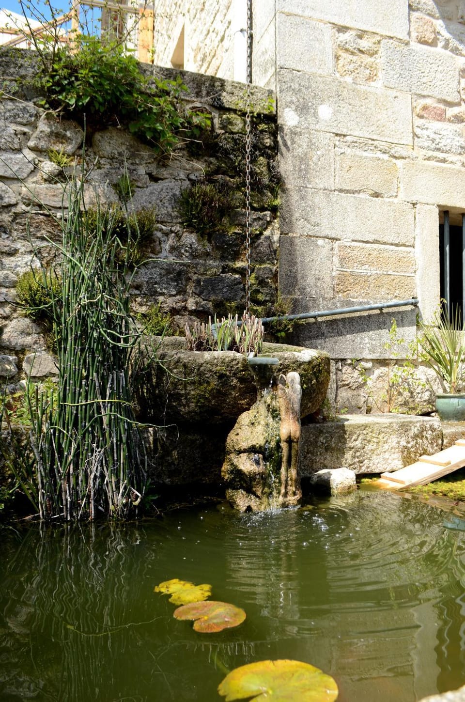 Property building, Garden