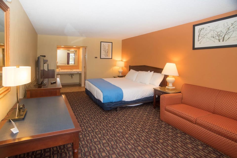Photo of the whole room