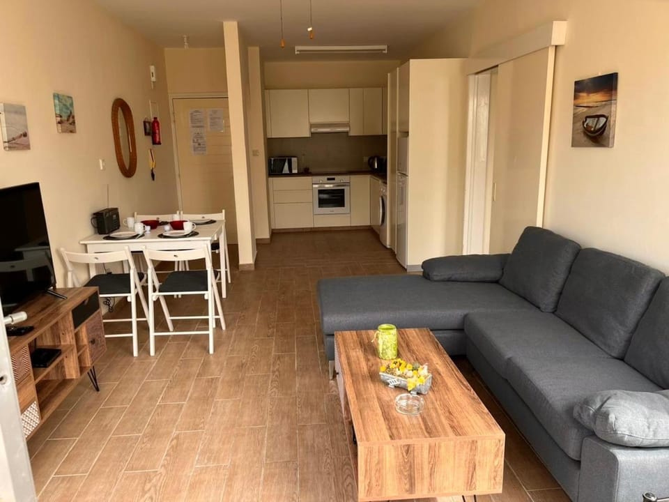 TV and multimedia, Kitchen or kitchenette, Seating area, minibar, pet friendly, stove