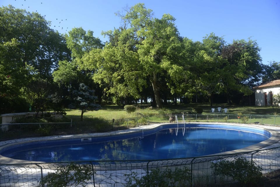 Garden, Pool view, Swimming pool