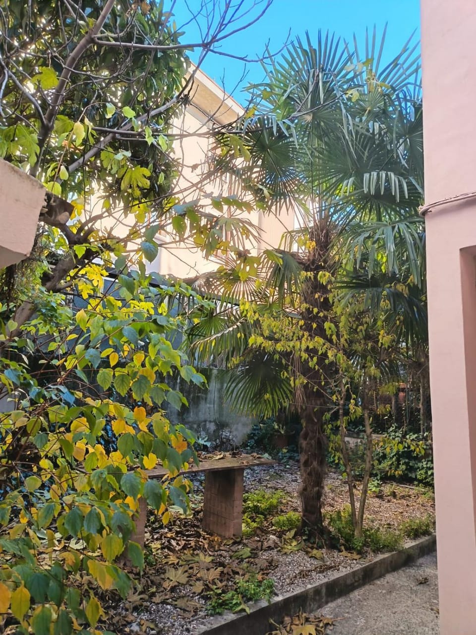 Garden view