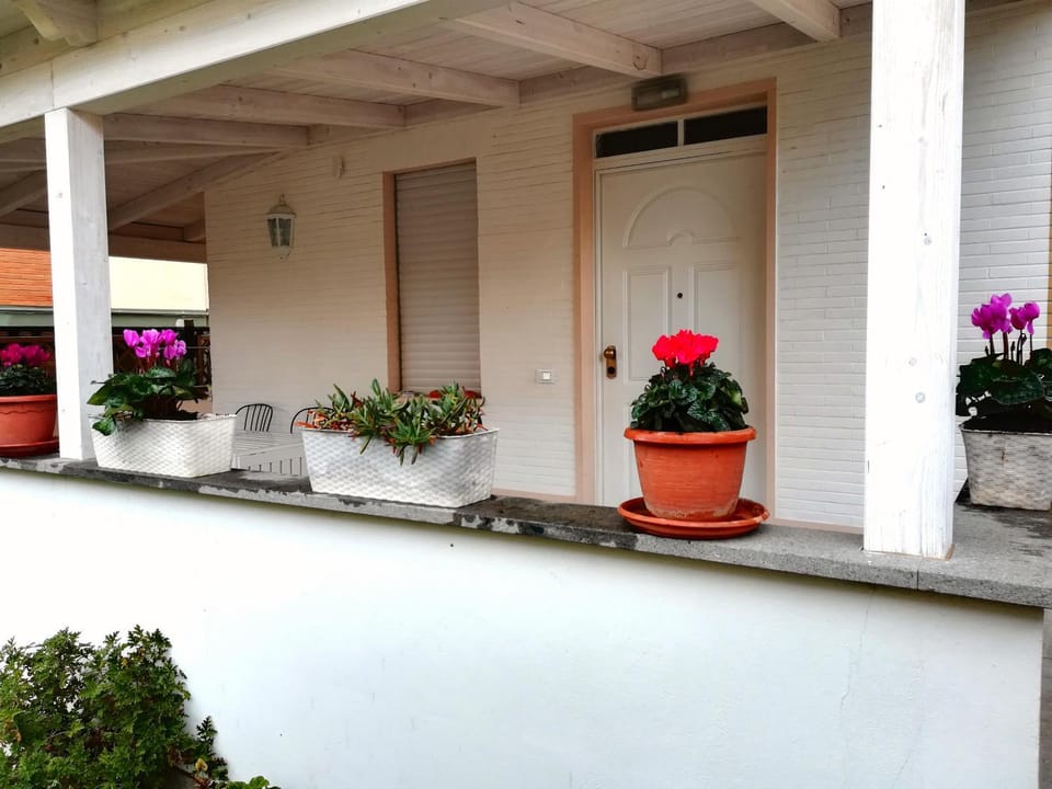 Patio, Facade/entrance