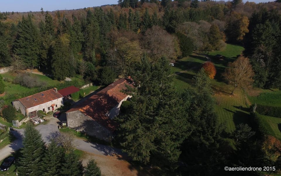 On site, Garden view