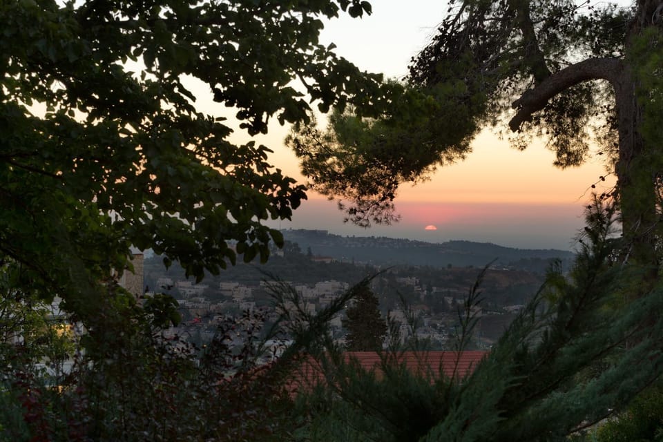 View (from property/room)