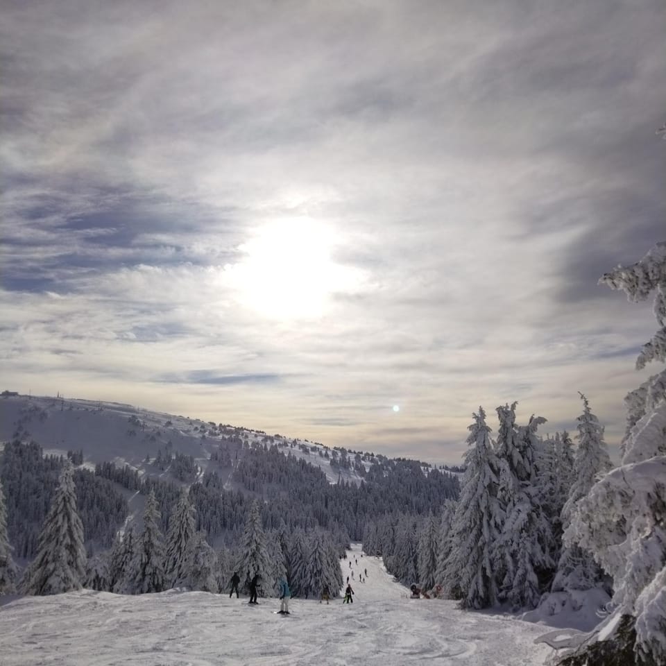 Ljubica Apartment in Serbia