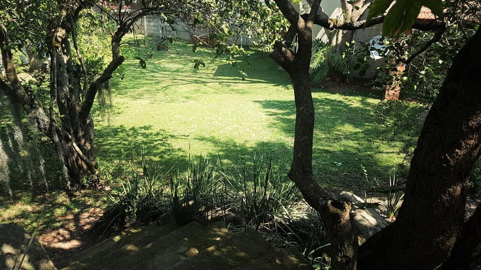 Day, Summer, Garden, On site, Garden view